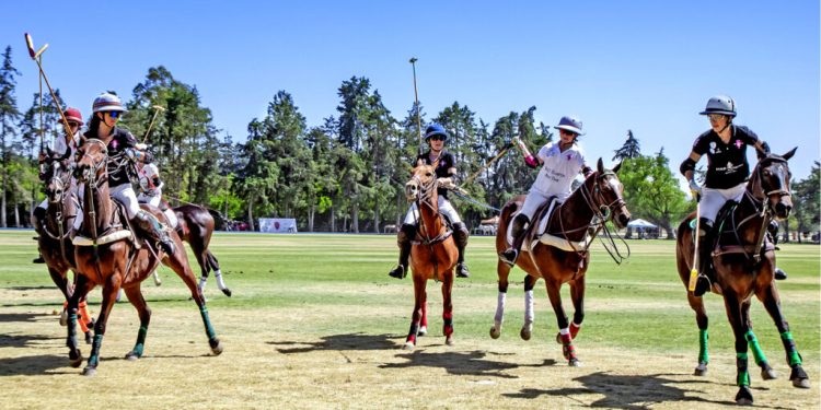 Polo Femenino