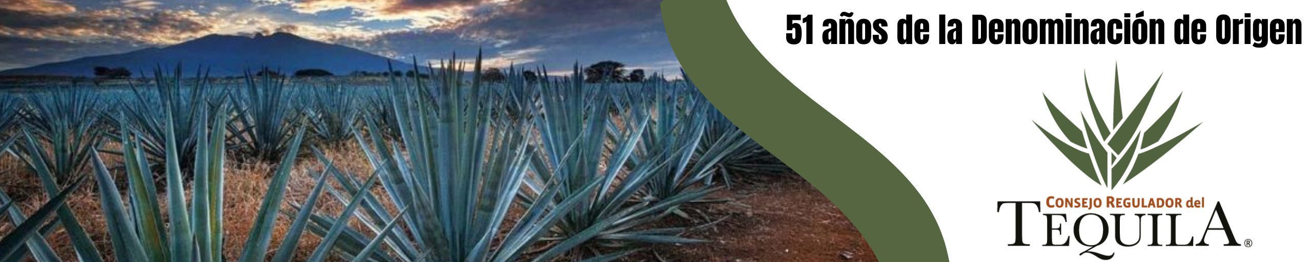 Consejo Regulador del Tequila