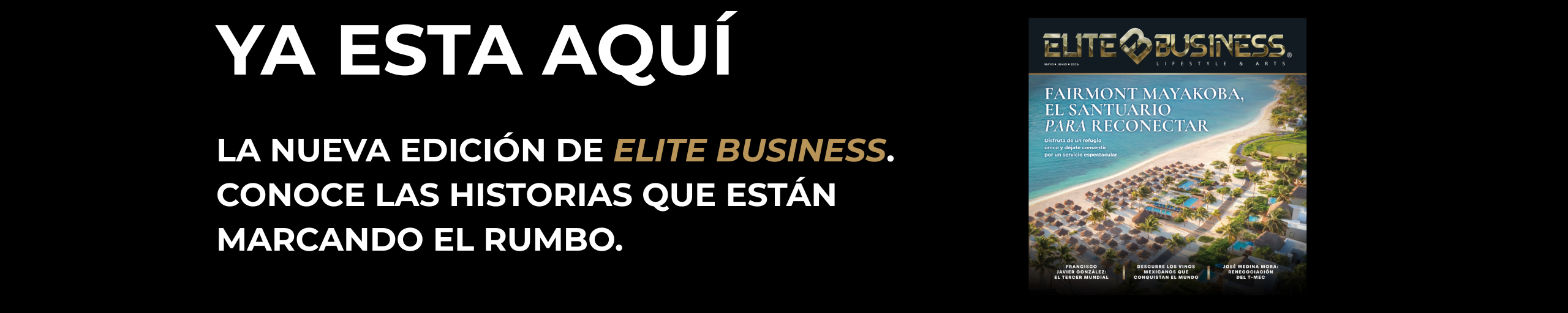 Elite Business Edición 8